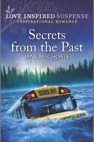 Cover of Secrets from the Past