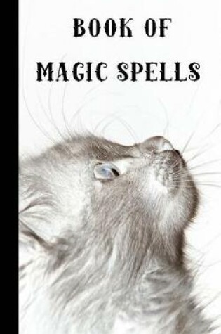 Cover of Book of Magic spells