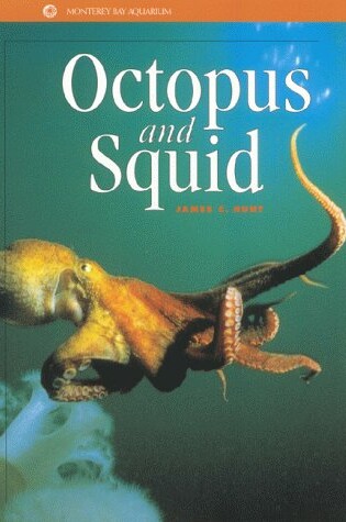 Cover of Octopus and Squid