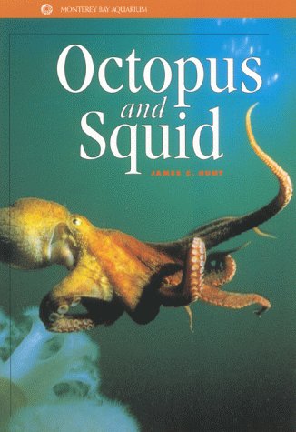 Book cover for Octopus and Squid