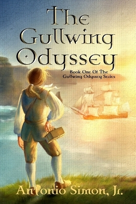 Book cover for The Gullwing Odyssey