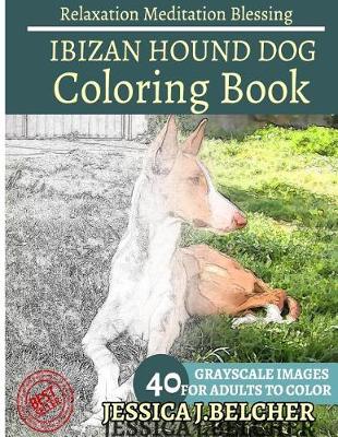 Book cover for Ibizan Hound Coloring Book for Adults Relaxation Meditation Blessing