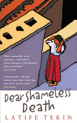 Book cover for Dear Shameless Death