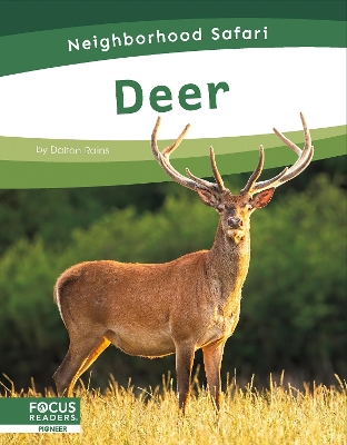 Book cover for Neighborhood Safari: Deer