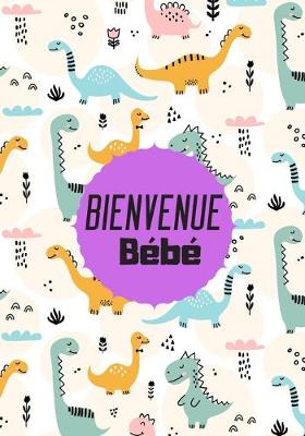 Book cover for Bienvenue bébé