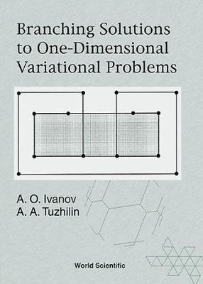 Book cover for Branching Solutions To One-dimensional Variational Problems