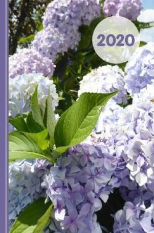 Cover of Hydrangea Floral Design