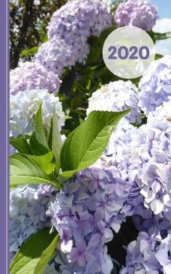 Book cover for Hydrangea Floral Design