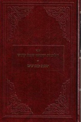 Cover of Leket Halichos Uminhogei Shabbos Kodesh (Seligson)