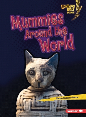 Book cover for Mummies Around the World