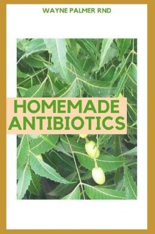 Cover of Homemade Antibiotics