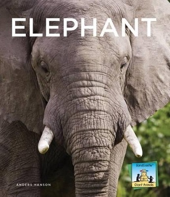 Book cover for Elephant