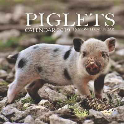 Book cover for Piglets Calendar 2019