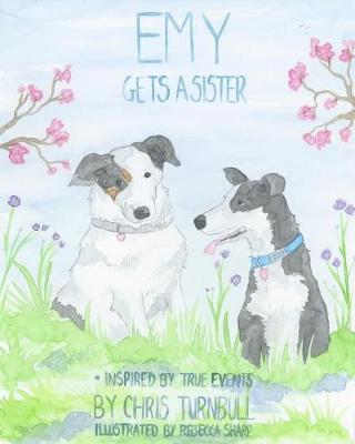 Book cover for Emy Gets A Sister