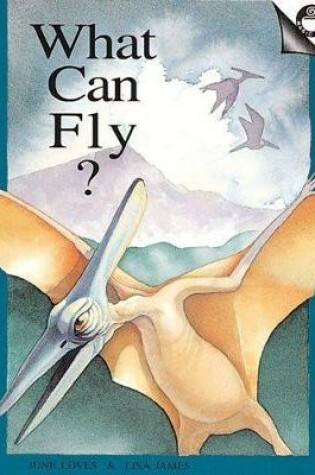 Cover of What Can Fly?