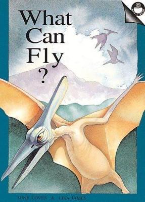 Cover of What Can Fly?