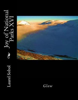 Book cover for Joy of National Parks XVI
