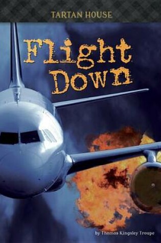 Cover of Flight Down