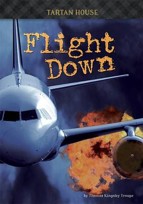 Book cover for Flight Down