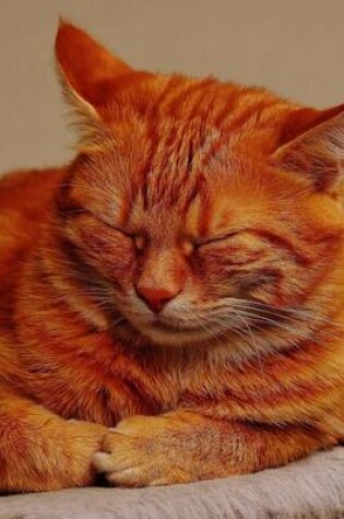 Cover of Red Mackerel Tiger Tabby Cat Napping