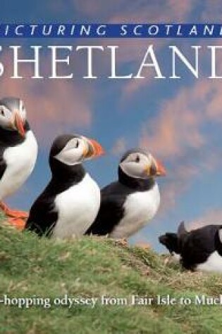 Cover of Shetland: Picturing Scotland