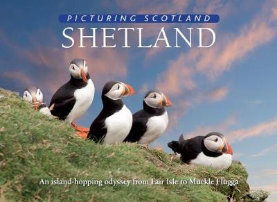 Book cover for Shetland: Picturing Scotland