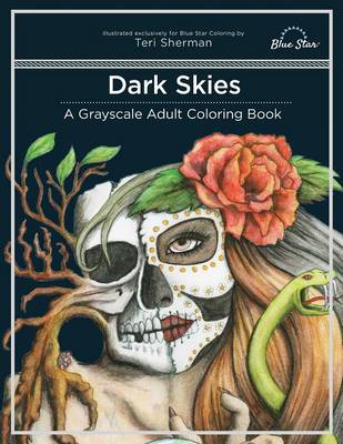 Book cover for Dark Skies