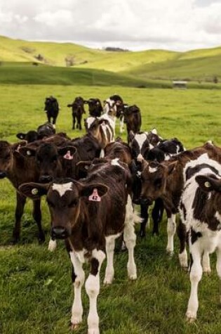 Cover of Jumbo Oversized Herd of Cattle in the Green New Zealand Countryside