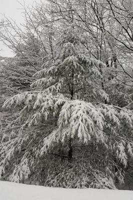 Cover of Scenic Winter Photo Journal Snow Covered Evergreen