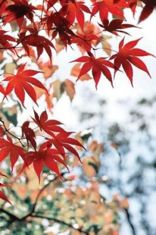 Cover of Asian Maple Leaf Notebook