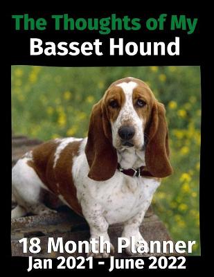 Book cover for The Thoughts of My Basset Hound