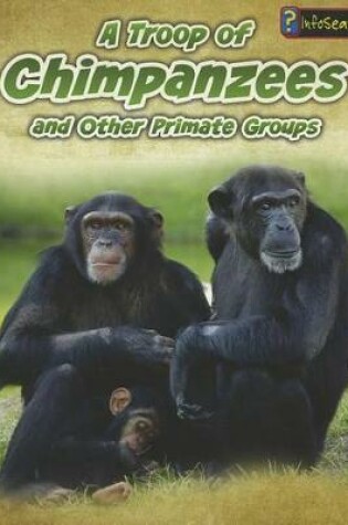 Cover of Animals in Groups Troop of Chimpanzees and Other Primate Groups