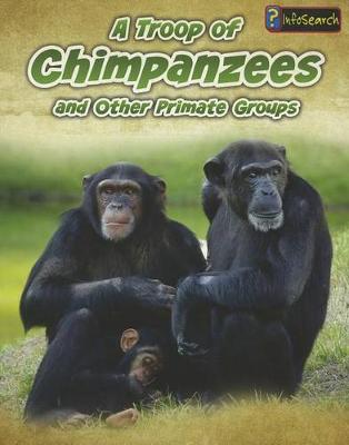 Book cover for Animals in Groups Troop of Chimpanzees and Other Primate Groups