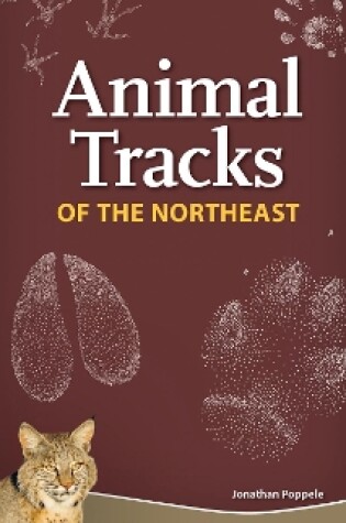 Cover of Animal Tracks of the Northeast