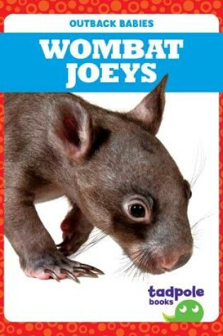 Cover of Wombat Joeys