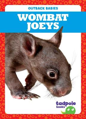Book cover for Wombat Joeys