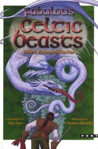 Cover of Fabulous Celtic Beasts