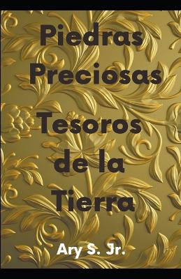 Book cover for Piedras Preciosas Tesoros de la Tierra