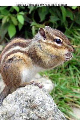 Book cover for Siberian Chipmunk 100 Page Lined Journal