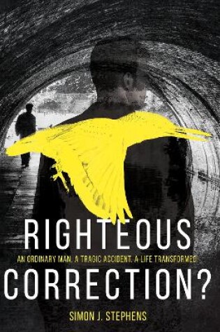 Cover of Righteous Correction?