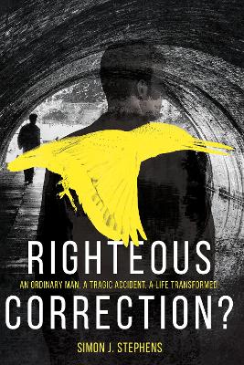Book cover for Righteous Correction?