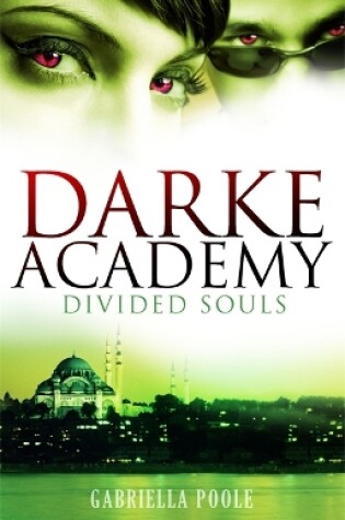 Cover of Divided Souls