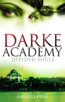 Book cover for Divided Souls