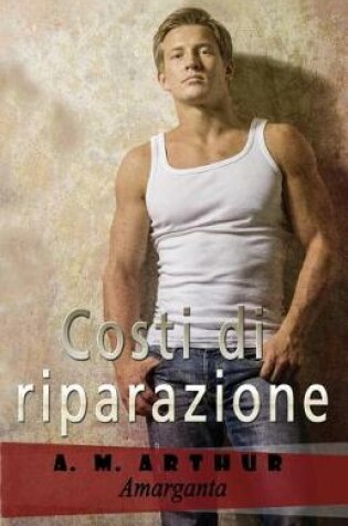 Cover of Costi Di Riparazione