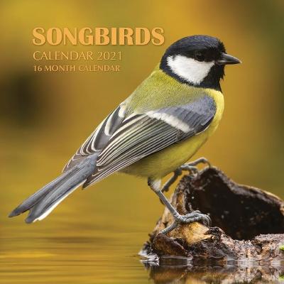 Book cover for Songbirds Calendar 2021