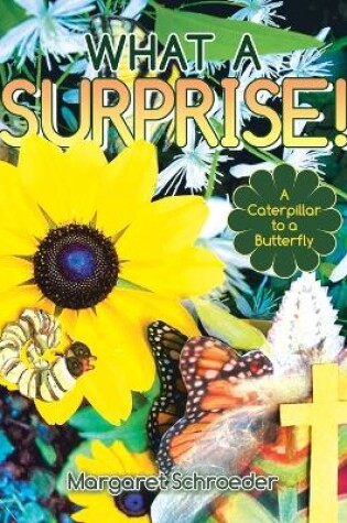 Cover of What a Surprise!