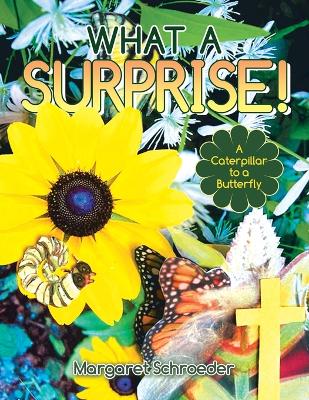 Book cover for What a Surprise!