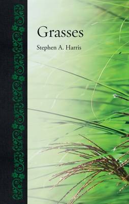 Book cover for Grasses