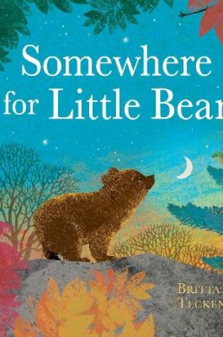 Cover of Somewhere for Little Bear