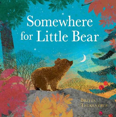 Book cover for Somewhere for Little Bear